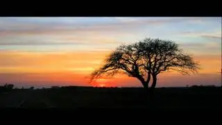 Ricardo Bernatené - Recuerdos de Naicó