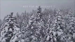 03-15-2024 Cascade, Colorado  - Must Watch Drone Video During and After 38 Inches of Snow