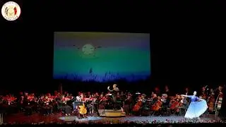 3. Cello Solo 