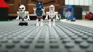 Premier stop motion 