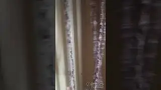 Snackapp video