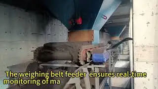 Continuous Weighing Belt Feeder