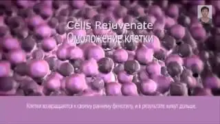 Продукт компании NPCRIZ Эндолутен увеличивает продолжительность жизни