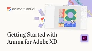 Getting Started with the Anima plugin - Anima for Adobe XD