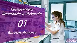 Método de Buckley-Leverett para proceso de recuperación secundaría por inyección de agua [RSM]