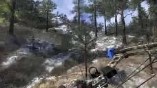 InsaneGamers and the Bears