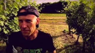 Brutal Trail Ghemme | 3 novembre 2019 | TEASER