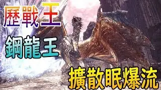 【MHW】歷戰王鋼龍 重弩擴散眠爆流 耳塞重弩 6分46秒 【魔物獵人世界 | PS4 PC】