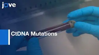 CtDNA Mutations Detection by  Next Generation Sequencing (NGS) | Protocol Preview