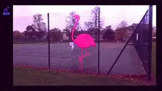 Yarnboming 1 Knitted PINK Flamingo , Cambridge.
