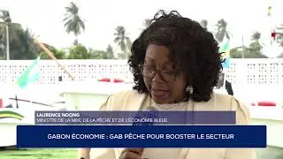 GABON &Eacute;CONOMIE : GAB P&Ecirc;CHE POUR BOOSTER LE SECTEUR