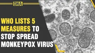 Monkeypox outbreak: WHO lists 5 measure to stop spread monkeypox virus