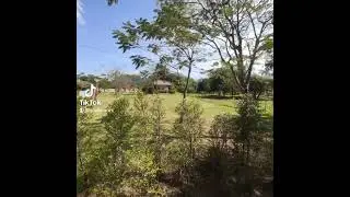 A Sunday in Mea Moh Garden in Lampang Thailand