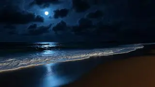 Calming Ocean Waves at Night 🌙 Deep Sleep White Noise &bull; Stress Relief.