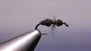 Fur Ant