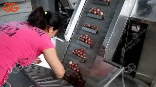 small onion peeling machine video