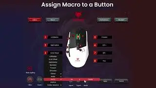 How to Set Up & Customize Your EvoFox Phantom 2 Gaming Mouse | Complete Guide
