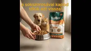 Hipoallerg&eacute;n kutyat&aacute;pok a Jozsapetn&eacute;l