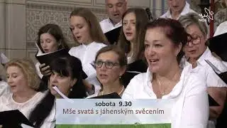 M&scaron;e svat&aacute; s j&aacute;hensk&yacute;m svěcen&iacute;m v Olomouci 21. 6. 2025 ŽIVĚ na #tvnoe