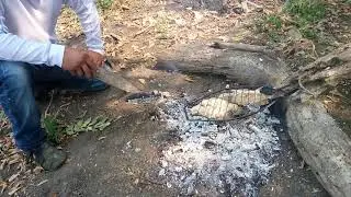 pescado sarandiado