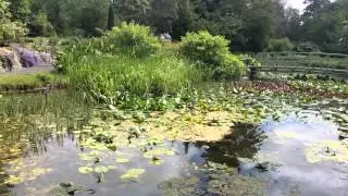 The National Botanic Gardens Dublin | David Corscadden