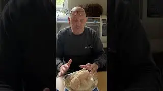 ENS Early Neurological Stimulation. For pups 3-16 days old .#pets #fypyoutube #puppy #animals
