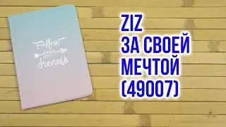 Распаковка За своей мечтой ZIZ 49007