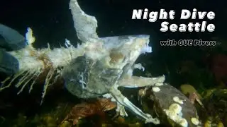 Scuba Diving In The Dark with GUE Seattle Divers