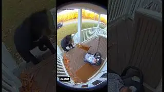 You Won&rsquo;t Believe This ! Cat Saved Baby&rsquo;s Life #shorts #yourubeshorts #viral #cat