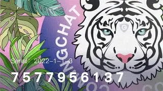 Как получить бесплатно NFT и криптовалюту? ComingChat