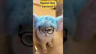 Pede maksimal