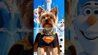 Super Yorkie Visits Elsa & Olaf #marvel #disney #frozen