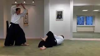 Shihonage II Sword movements