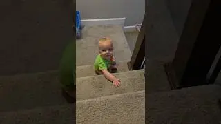 Youngest takes a tumble #stairsafety #tmnt #noinjuries