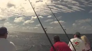 Offshore fishing on Reel Busy Fishing Charters, Stuart FL