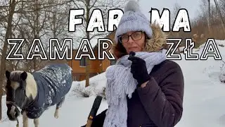 CAŁA FARMA ZAMARZŁA! ❄️ Tola poszła do domu?