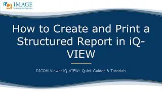 How to Create and Print a Structured Report in iQ-VIEW