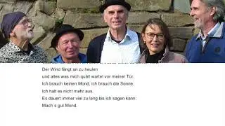 Dr. Seltzam O-Kestra - Mach`s gut Mond