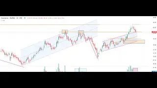04.02.2026 - Quasem , CoperTech, Seapearl,Genexil with DSEX Analysis