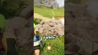 I FAILED CREMIS 😭 | Palworld Fail