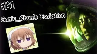 Sniccker's Isolation stream 1