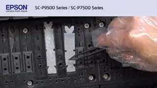 Replacing the Pads for Borderless Printing (CMP0242-00) プラテンとフチなし印刷吸収パッドの交換  Epson SC-P9500/7500