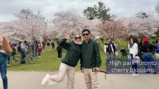 🌸 High Park Blossoms &ndash; Toronto's Sakura Seasons