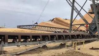 AMECO Group - Circular Stockyard Storage for Pulp & Paper