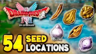 Dragon Quest 1 HD-2D Remake МЕСТА ПОЛУЧЕНИЯ СЕМЯН (предметы для постоянного повышения характеристик)