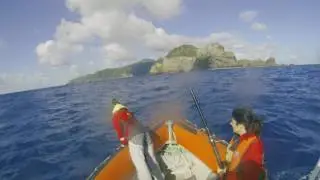 Humpback whale research in the Kermadecs