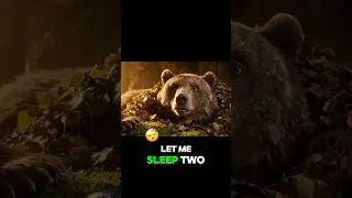 Bruno the Bear It&rsquo;s Spring! google veo3 #prompt #shorts #viral