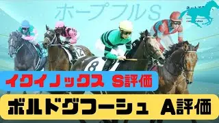 【ホープフルS】全頭最終評価　有馬記念はイクイノックスS評価、ボルドグフーシュA評価で的中！最後のG1も当てよう！