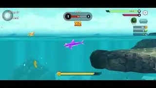 I play hungry shark 