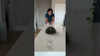 Perfect fit